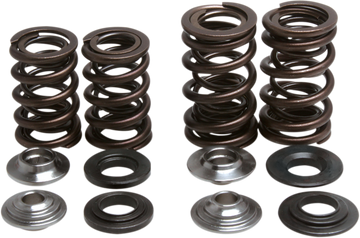 KIBBLEWHITE Valve Spring Kit 30-30720