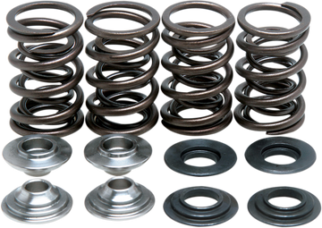 KIBBLEWHITE Valve Spring Kit 60-60045