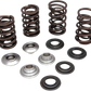 KIBBLEWHITE Valve Spring Kit 60-60280