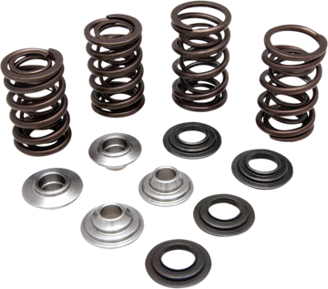 KIBBLEWHITE Valve Spring Kit 60-60280