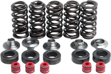 KIBBLEWHITE Valve Spring Kit 80-80100