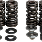 KIBBLEWHITE Valve Spring Kit 30-30880