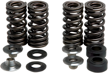 KIBBLEWHITE Valve Spring Kit 30-30880