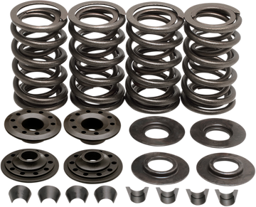 KIBBLEWHITE Valve Spring Kit - Big Twin 20-20132