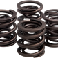 KIBBLEWHITE Valve Springs - XL 20-2215