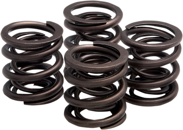 KIBBLEWHITE Valve Springs - XL 20-2215