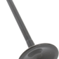 KIBBLEWHITE Intake Valve 30-31462