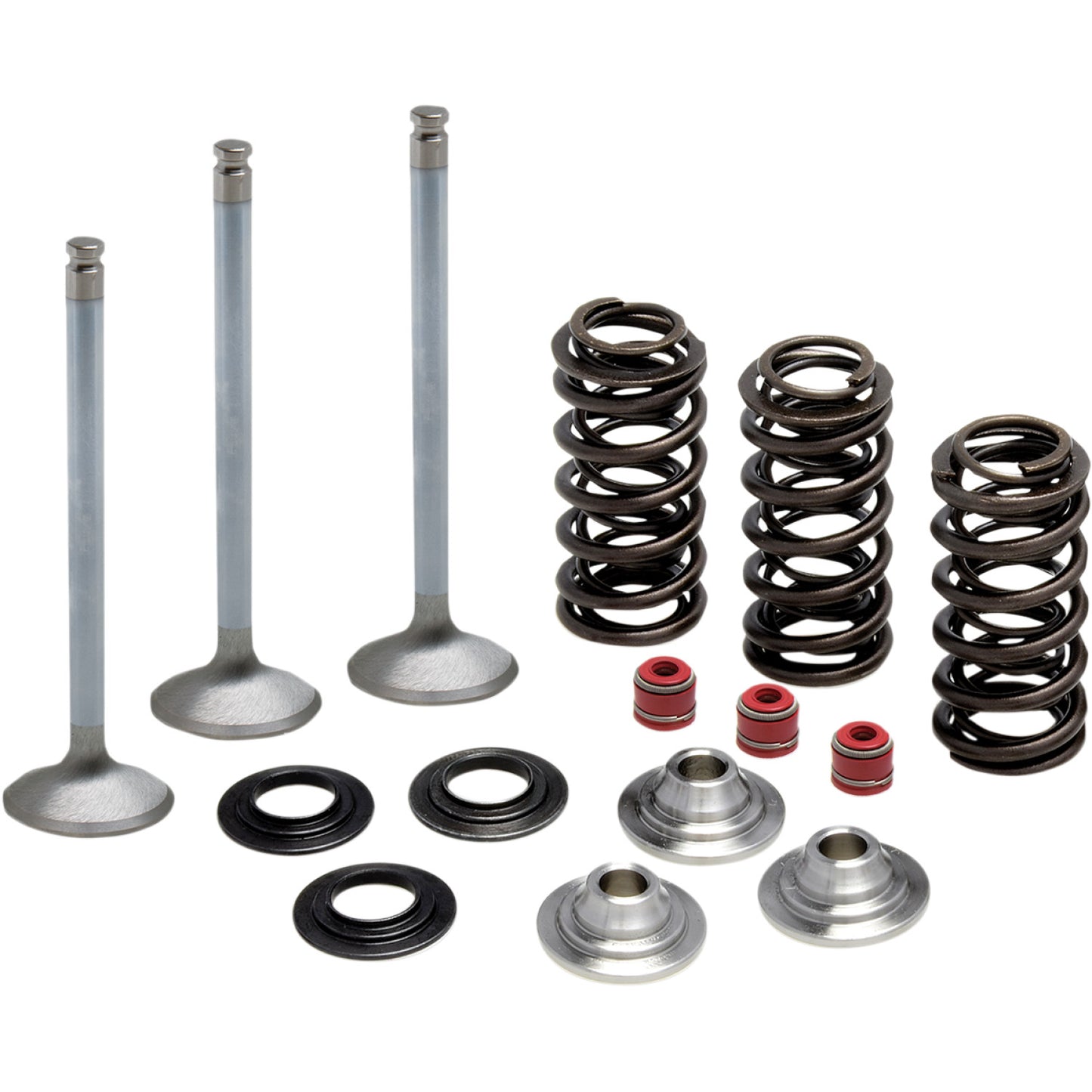 Kibblewhite Valve Spring Kit 80-80950 | Valves & Parts | Kibblewhite