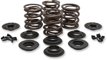 KIBBLEWHITE Valve Spring Kit - Big Twin 20-20435