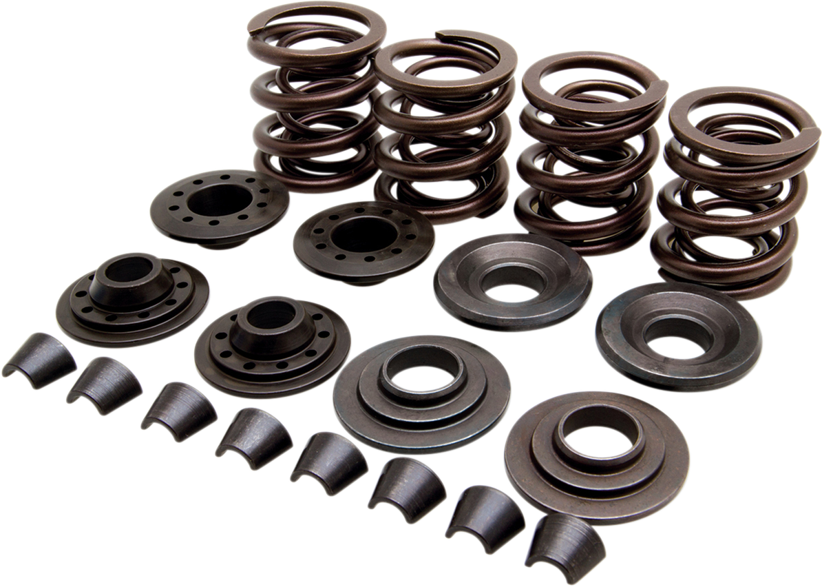 KIBBLEWHITE Valve Spring Kit - XL 20-20440