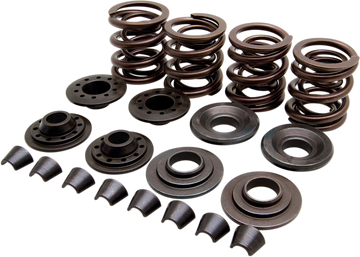 KIBBLEWHITE Valve Spring Kit - XL 20-20440