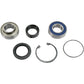 All Balls Chain Case Bearing and Seal Kit 14-1001