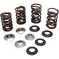 KIBBLEWHITE Valve Spring Kit 60-60280