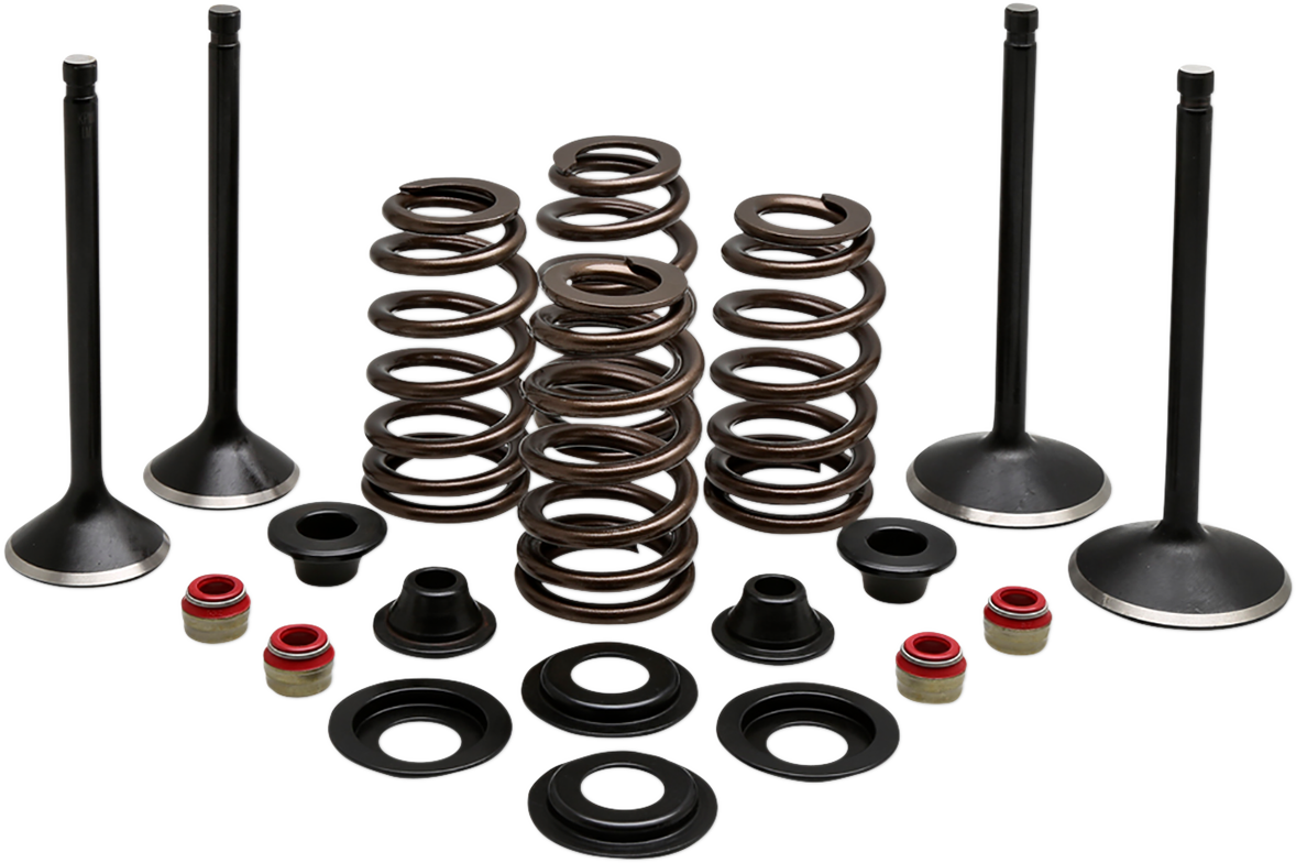 KIBBLEWHITE Complete Valve Kit - Evolution/1200 20-22850