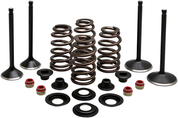 KIBBLEWHITE Complete Valve Kit - Evolution/1200 20-22850