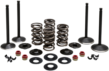 KIBBLEWHITE Complete Valve Kit - Evolution 20-22650