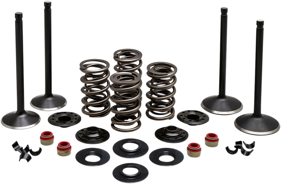 KIBBLEWHITE Complete Valve Kit - Twin Cam 20-23050