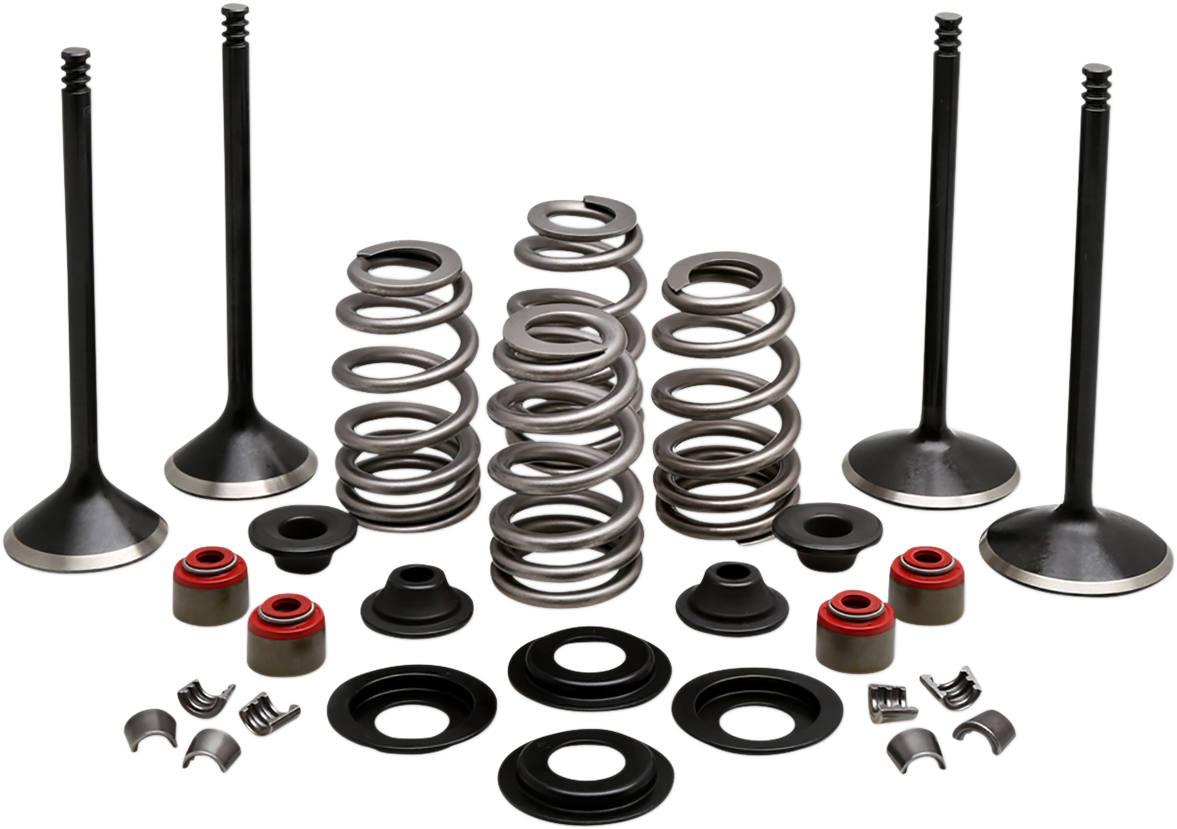 KIBBLEWHITE Complete Valve Kit - Evolution/1200 20-22950