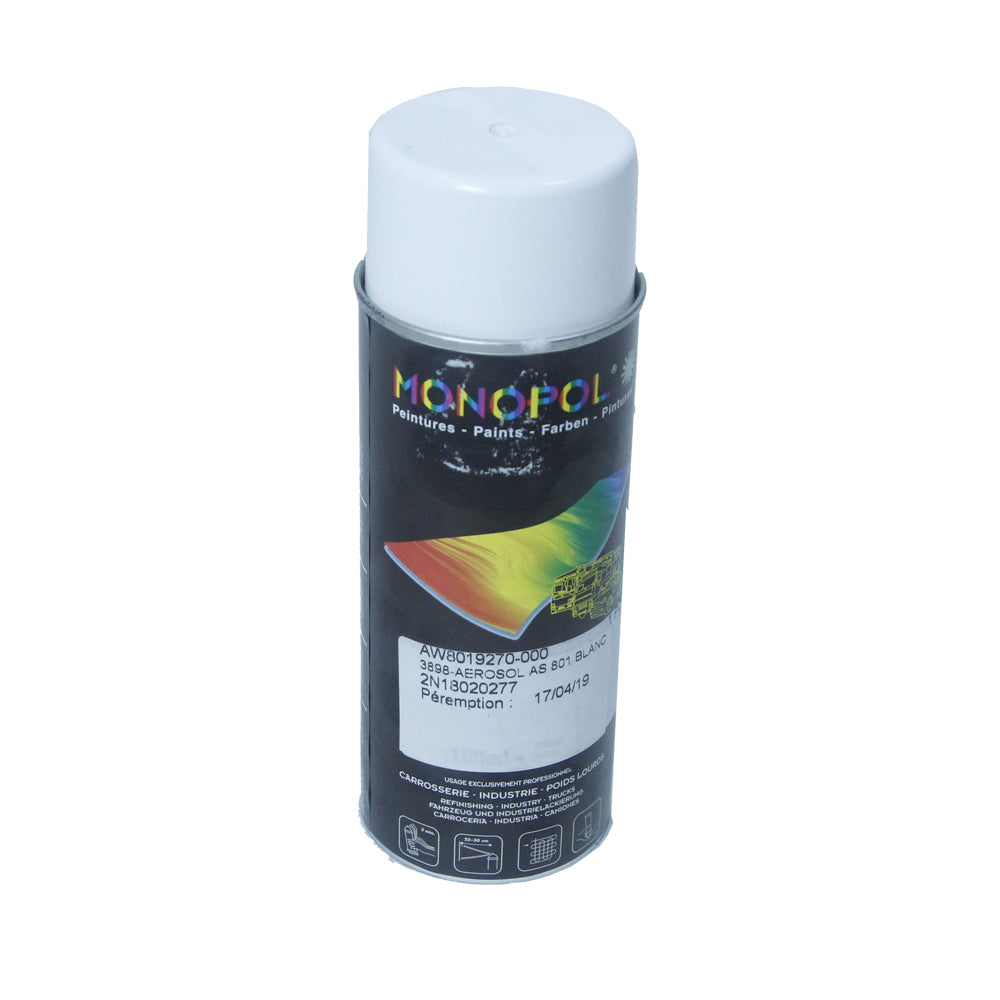 CAN OF WHITE AEROSOL PAINT 250