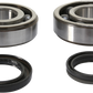 PROX Crank Bearing and Seal Kit - Suzuki 23.CBS34008