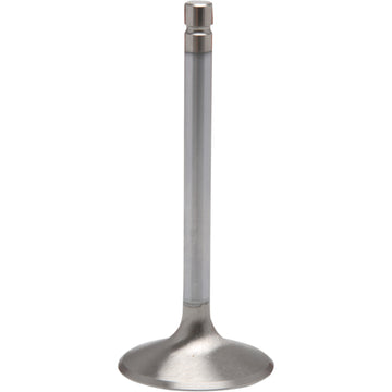 Kibblewhite Intake Valve 40-4281H | Valves & Parts | Kibblewhite