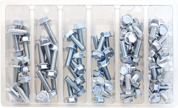 BOLT Bolt Assortment - Flange SV-M6HEX10