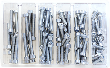 BOLT Bolt Assortment - Socket - Allen SV-M6SOCKET