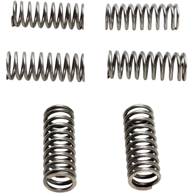 EBC Clutch Springs CSK227 | Clutch Plates & Springs