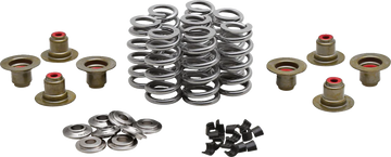 KIBBLEWHITE Beehive Spring Kit - 0.640" Lift - Titanium - M8 | CVO 20-24350