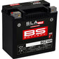 BS Battery Battery - BGZ16H 300931