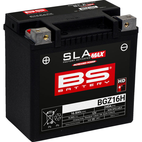 BS Battery Battery - BGZ16H 300931