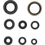Oil Seal Set