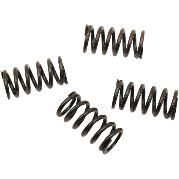 Barnett Clutch Spring Set 501-85-04120