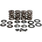 KIBBLEWHITE Valve Spring Kit 60-60120