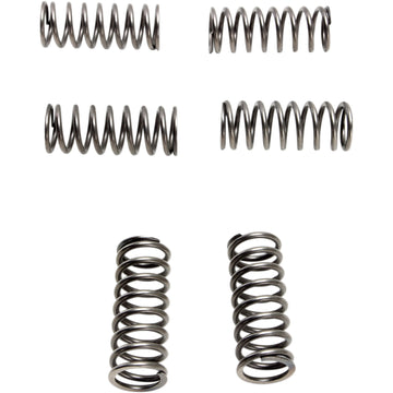 EBC Clutch Springs - 6 pcs. CSK198 | Clutch Plates & Springs