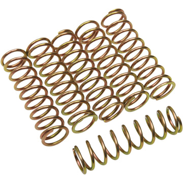 Barnett Spring Set 501-56-06096 | Clutch Plates & Springs