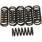 Barnett Clutch Springs 501-50-06042 | Clutch Plates & Springs