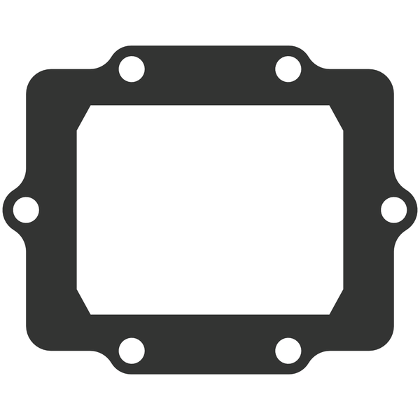 Vforce3 Gasket