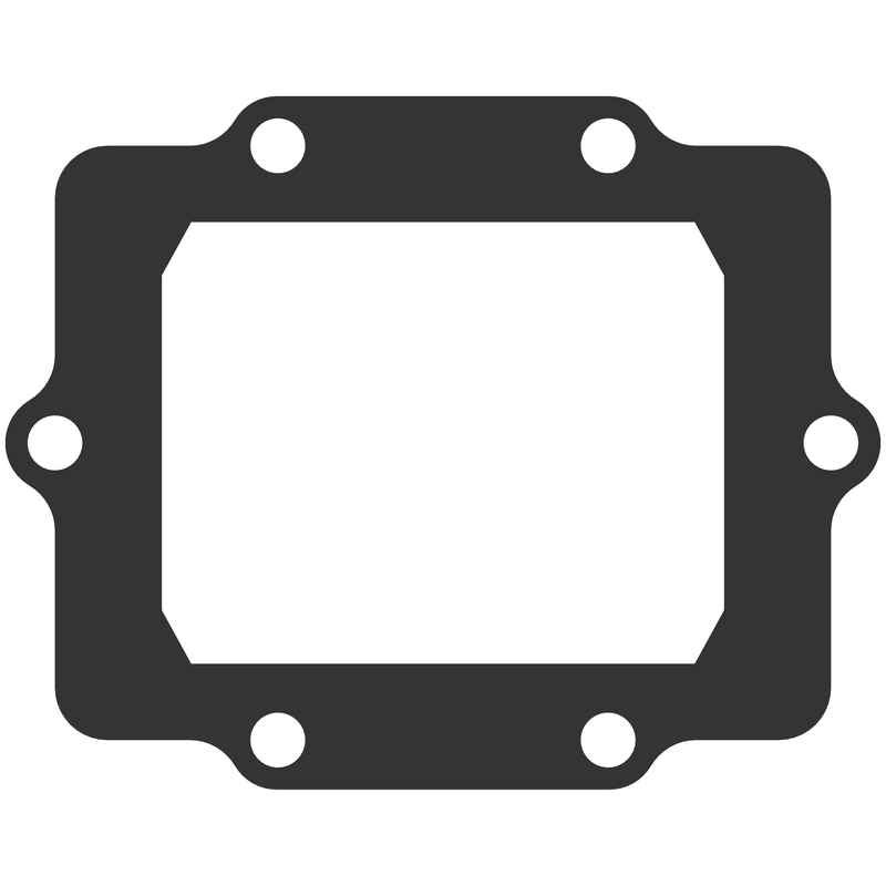 Vforce3 Gasket