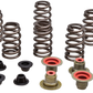 KIBBLEWHITE Valve Spring Kit 82-82550