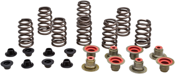 KIBBLEWHITE Valve Spring Kit 82-82550