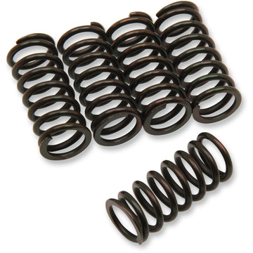 Barnett Clutch Spring Kit 501-25-05043 | Clutch Plates & Springs