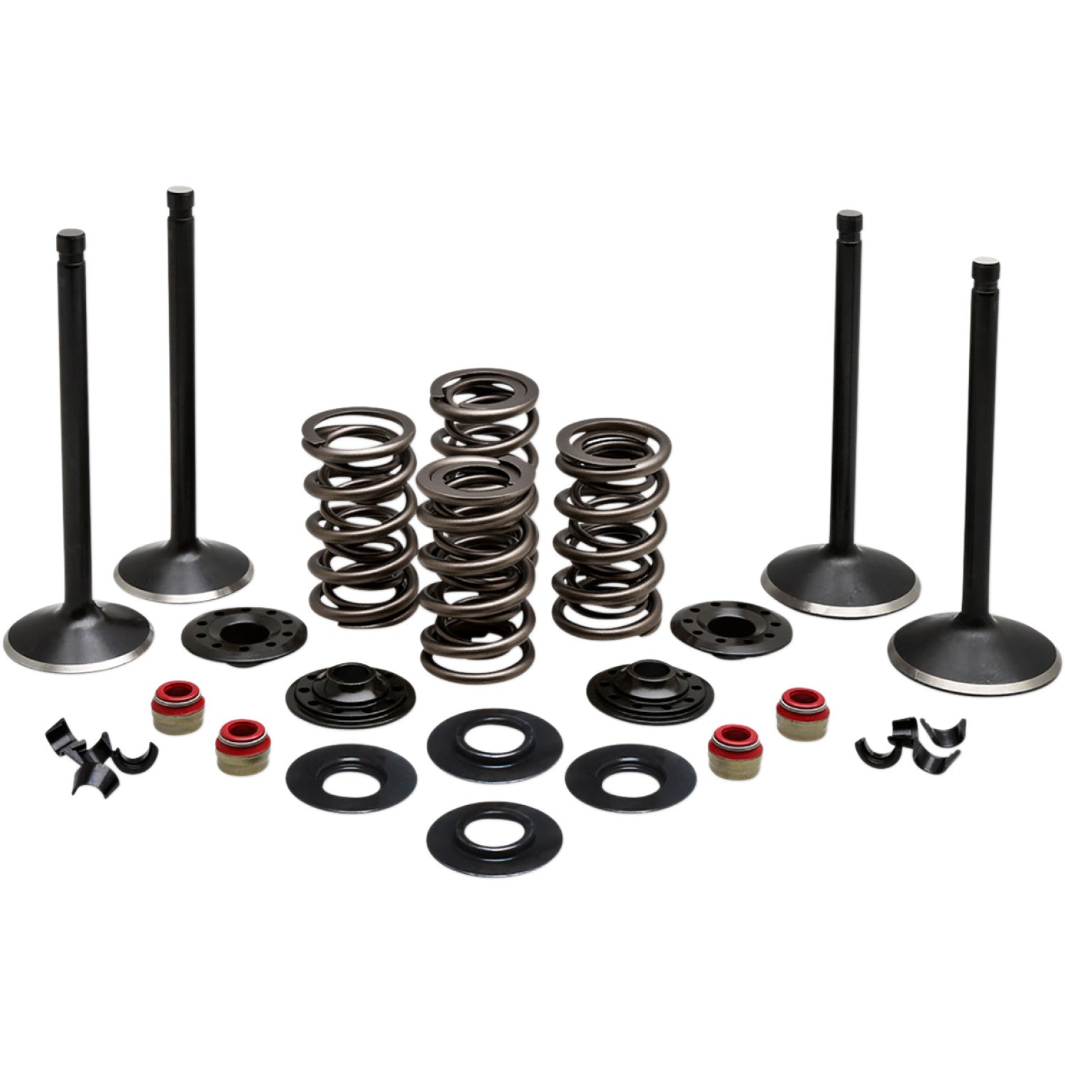 Kibblewhite Complete Valve Kit - Twin Cam 20-23050 | Valves & Parts | Kibblewhite