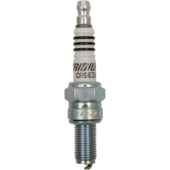 NGK Spark Plug #3521