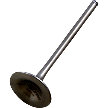 XCELDYNE Exhaust Valve XEVM13001