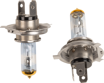 EIKO Halogen Bulbs - H4/HB2 - 55/60 W 9003-PVG-2BPP