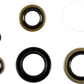 MOOSE OFFROAD Oil Seal Kit - Kawasaki 822102mse