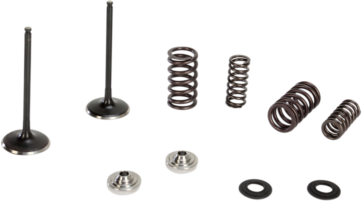 KIBBLEWHITE Intake Valve Kit 60-60470