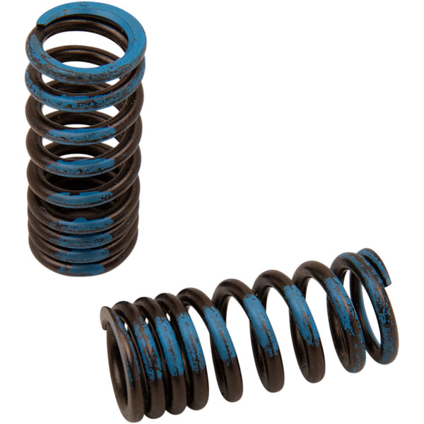 Xceldyne Valve Springs - Intake - Honda PSIMX2006