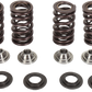 KIBBLEWHITE Valve Spring Kit 96-96400